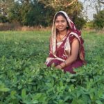 बालको की पहल से मूंगफली बनी किसानों की आय बढ़ाने का सशक्त माध्यम.