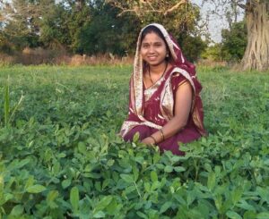 बालको की पहल से मूंगफली बनी किसानों की आय बढ़ाने का सशक्त माध्यम.