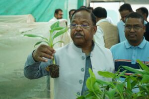 छत्तीसगढ़ बनेगा मखाना हब,कृषि मंत्री श्री रामविचार नेताम ने लिंगाडीह में मखाना सेंटर का किया अवलोकन , रायपुर, धमतरी, गरियाबंद और बालोद जिले के मखाना उत्पादन क्षेत्रों का बनेगा सर्किट.