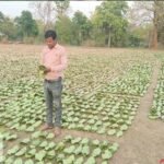 तेन्दूपत्ता संग्रहण की नई पहल से अबुझमाड़ के 22 गांवों को मिला लाभ, गांव के पास खुला फड़, 365 संग्राहकों को मिला सीधा आर्थिक लाभ.